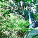 금정산 물망골계곡-외대계곡-숲둘레길 이미지