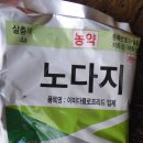 웃밭 이미지