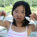 민박어항 이미지