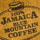 블루마운틴 스크린 이미지