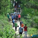 영천시 그린환경센터 이미지