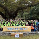 두모1리 이미지