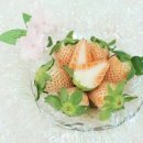 억대농장 이미지