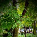 다물목장 이미지