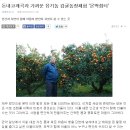 몬딱쉼터 이미지