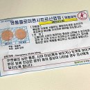 수앤영 이미지