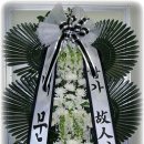 고령꽃집 이미지