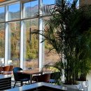 카페 브릿지(Cafe BRIDGE) 네이버블로그