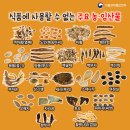 JH식품 코메디닷컴