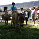 신토불이 이미지