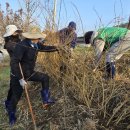 광남1동-8 이미지