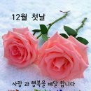 행정사 박동환 사무소 이미지