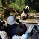 판다나라 이미지