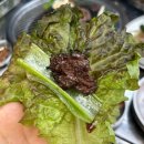쌍둥이네맛집 | 한성대 야장 맛집 추천! 쌍둥이네 안창살 - 성북천 야장 분위기까지 즐긴 후기