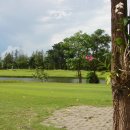 그린벨리 이미지