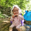 여름을 즐겨요~~(장안사 물놀이 &amp; 대운산 숲체험) 이미지