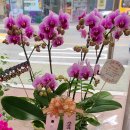 풍호동행정복지센터 이미지