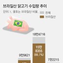 수입 금지에 브라질 닭고기 가격 2배로… 동네 닭강정-닭꼬치 가게 “못버틸 지경” 이미지