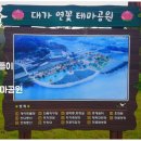 대가연꽃테마공원 이미지