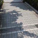 💚.U🌞🧸유태양아~먼데이 맛점 에너지 충전💪💚 이미지