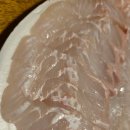 군산희망센터 | 🐟 [내돈내산] 군산 수산물시장 회포장 후기! 늦은 시간 방문했던 "해순수산" 솔직 리뷰 (광어회 포장...