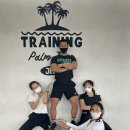 트레이닝팜트리 이미지