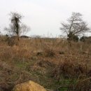 대정문화체육센터 이미지