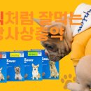 봄날약국 이미지