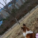 소노펠리체 Par3 이미지