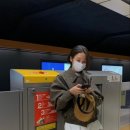 봄비패션 이미지