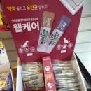 웰케어동물펫샵 | 고양이 유산균 '웰케어'사용후기