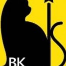 비케이(BK) 이미지