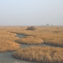 해탈, 그 이후의 이미지