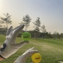 에스골프연습장 이미지