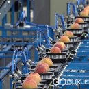 옥천군 농산물산지유통센터 이미지