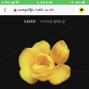 굴로장생 이미지