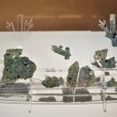 신덕1호 이미지