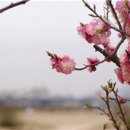 수 피부이야기