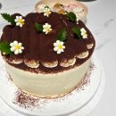 편백로-1 | 진해케이크맛집 쉬폰 사르르 티라미수케이크 픽업후기