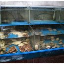 인사동밥집 이미지