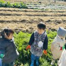 봉산농장 이미지