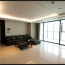 팔레드시즈 이미지