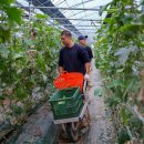 흥양농장 이미지