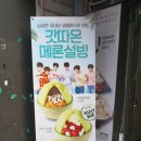 설빙 온양온천점 | 아산 설빙 메론빙수, 팥인절미빙수 시식후기~