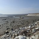 어류정(탑재) 이미지