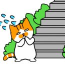 칠갑주차장 이미지