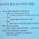 이안유치원 | 아반강고, 이안동물영상 신경센터 세미나 후기 1. 발작과 MRI