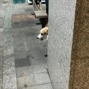 어! 외양간에 참치가 | [1월] 해삐 뉴이어~ 새해 첫 일기