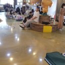 포포 데이케어 이미지