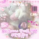 유리노하나 산리오 랜덤박스 5만원 구매 후기 ˖°ପ(ूᴗ͈ ˬ ᴗ͈)ଓ˚˳